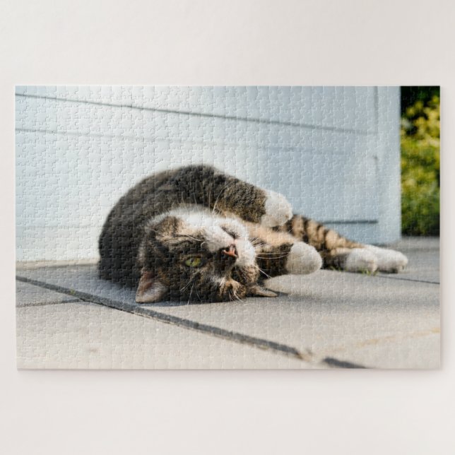Lazy Cat Lounges on Porch Puzzle (Horizontal)