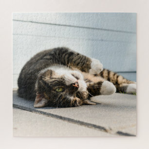 Lazy Cat Lounges on Porch Puzzle