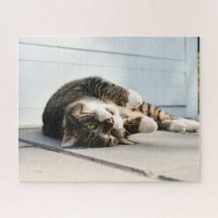 Lazy Cat Lounges on Porch Puzzle