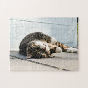 Lazy Cat Lounges on Porch Puzzle