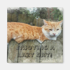 Lazy Cat Magnet