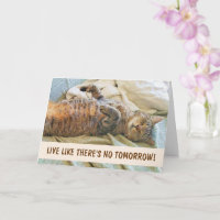 Lazy Cat Philosophie Geburtstag