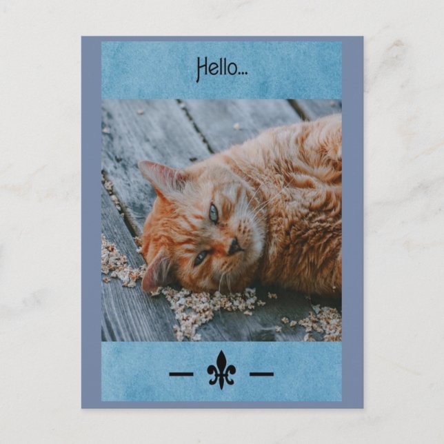 Lazy Cat Say's Hello Postcard Postkarte (Vorderseite)