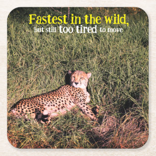 Lazy cheetah Foto Rechteckiger Pappuntersetzer