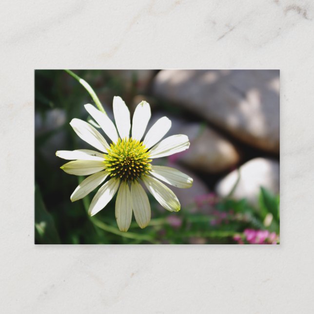 Lazy Daisy Summer Day Mini Print Visitenkarte (Vorderseite)