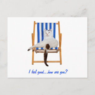 Lazy Day`s Postkarte
