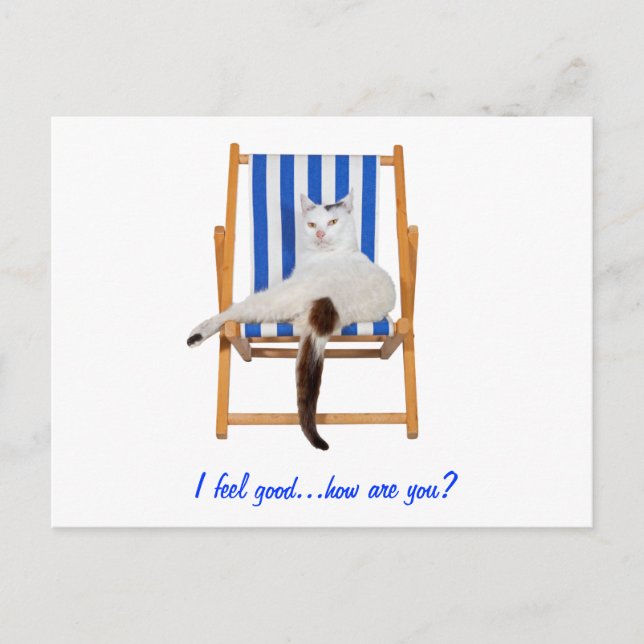 Lazy Day`s Postkarte (Vorderseite)