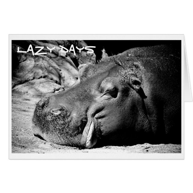 Lazy Days Card (Vorderseite (Horizontal))