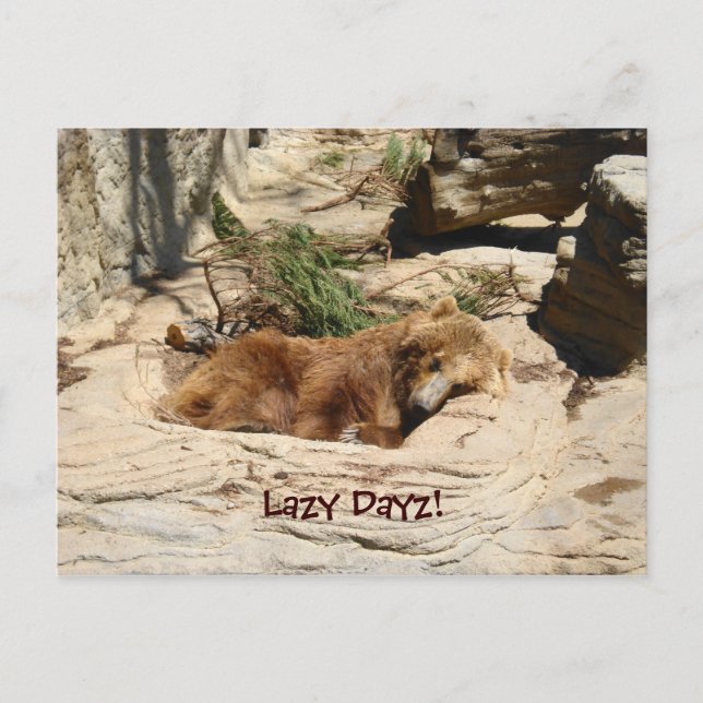 Lazy Dayz Bear Postkarte (Vorderseite)
