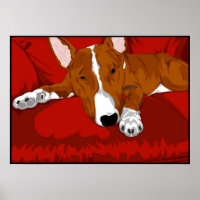 Lazy English Bull Terrier