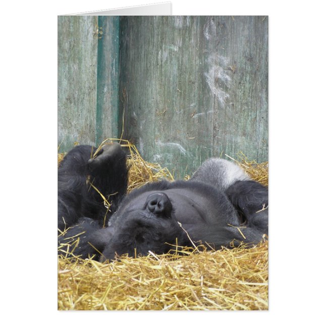 Lazy Gorilla Card (Vorne)