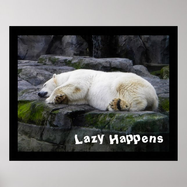 Lazy Happens Polar Bear Poster (Vorne)