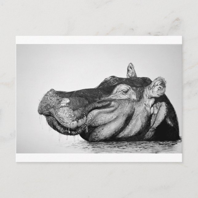 Lazy Hippo Postkarte (Vorderseite)