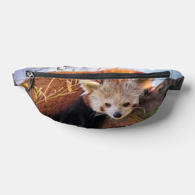 Lazy kleine rote Panda Bauchtasche (Ablage )