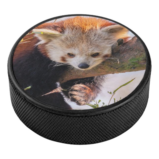 Lazy kleine rote Panda Eishockey Puck (3/4)