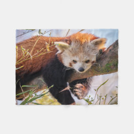 Lazy kleine rote Panda Fleecedecke