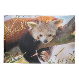 Lazy kleine rote Panda Kissenbezug