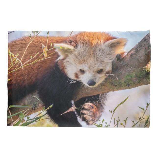 Lazy kleine rote Panda Kissenbezug (Rückseite)