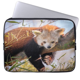 Lazy kleine rote Panda Laptopschutzhülle