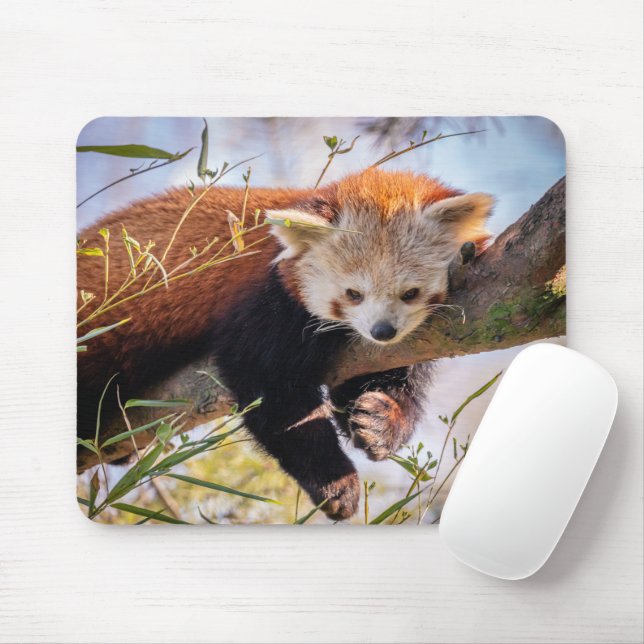 Lazy kleine rote Panda Mousepad (Mit Mouse)