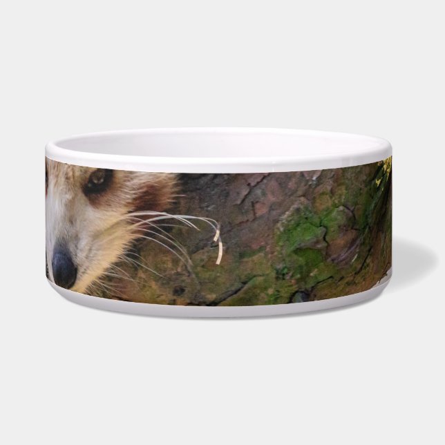 Lazy kleine rote Panda Napf (Rechts)