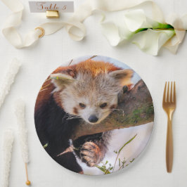 Lazy kleine rote Panda Pappteller