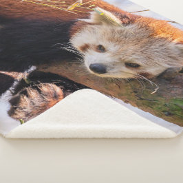 Lazy kleine rote Panda Sherpadecke