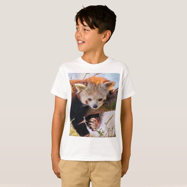 Lazy kleine rote Panda T-Shirt (Vorne ganz)