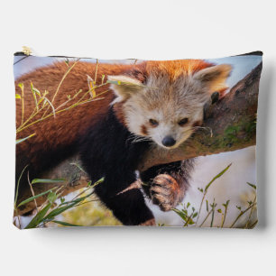 Lazy kleine rote Panda Zubehörtasche