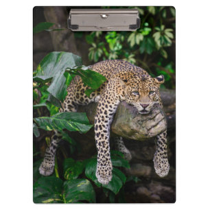 Lazy Leopard Klemmbrett