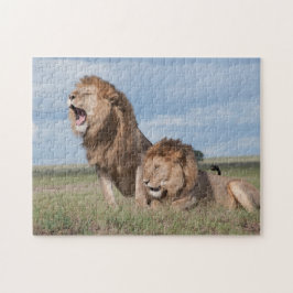 Lazy Lion Brothers on Savannah Puzzle