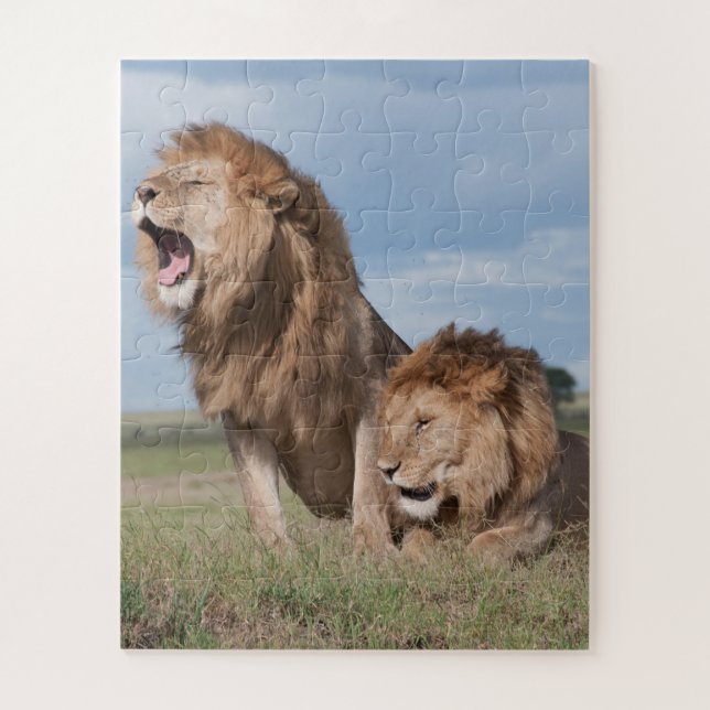 Lazy Lion Brothers on Savannah Puzzle (Vertikal)