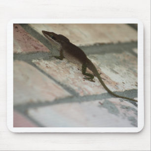 Lazy Lizard Mousepad