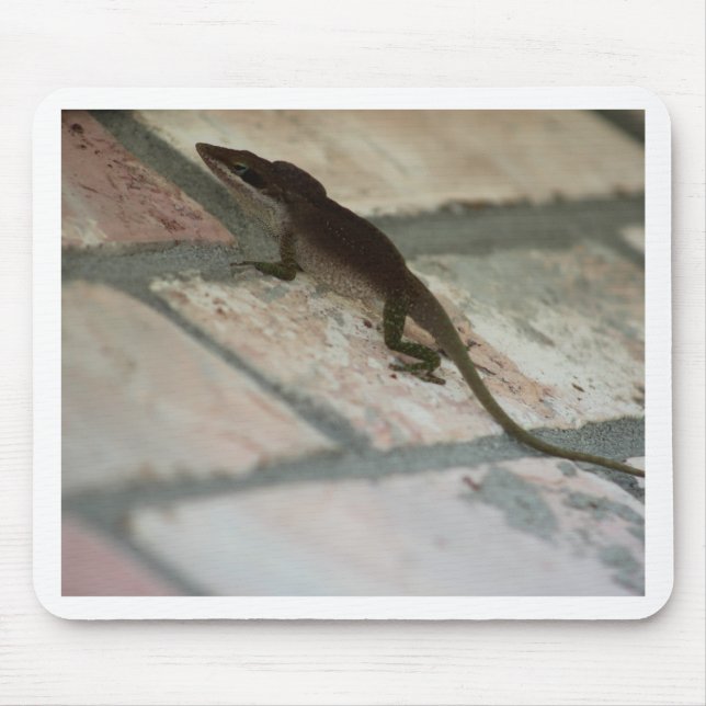 Lazy Lizard Mousepad (Vorne)