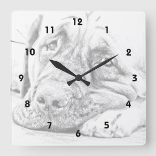 Lazy Mastiff Quadratische Wanduhr