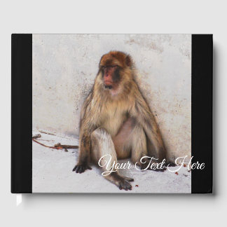 Lazy Monkey Gästebuch
