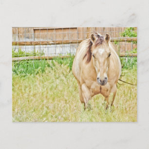 Lazy Morning Postkarte