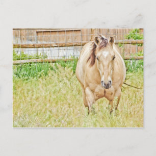 Lazy Morning Postkarte