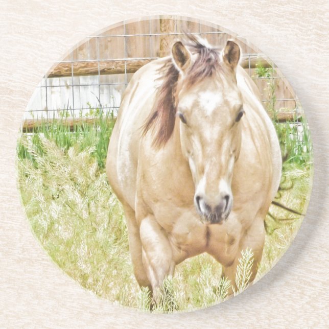 Lazy Morning Sandstein Untersetzer (Vorne)