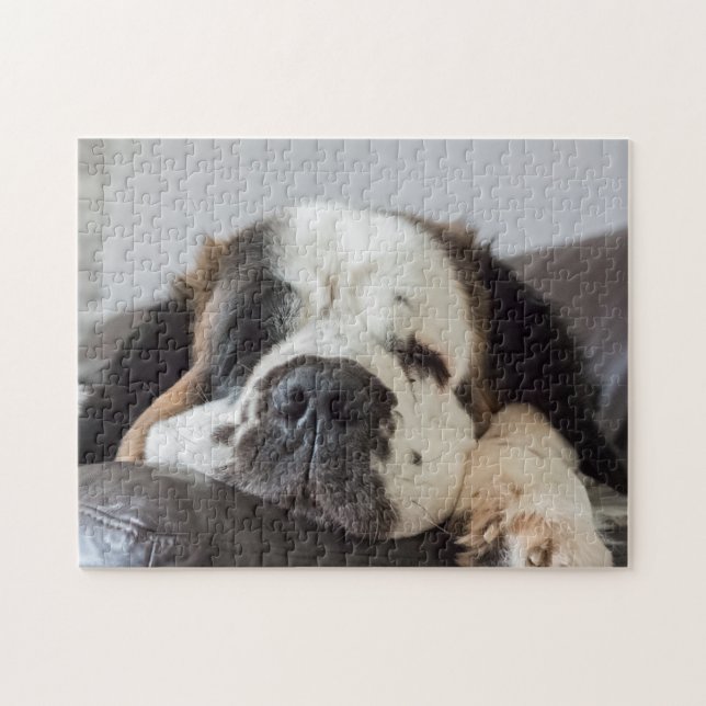 Lazy Saint Bernard Hund Puzzle (Horizontal)