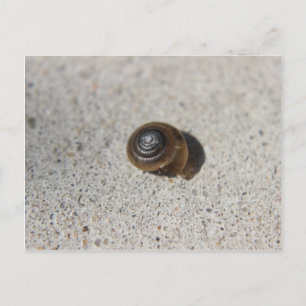 Lazy Snail Postkarte