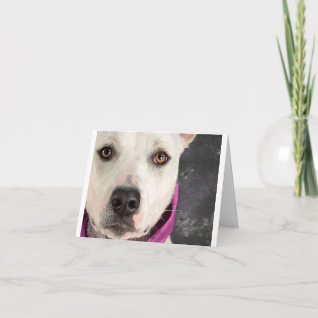 LDDR Anmerkungs-Karte Karte (Vorderseite)