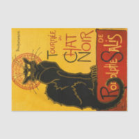 Le Chat Noir The Black Cat