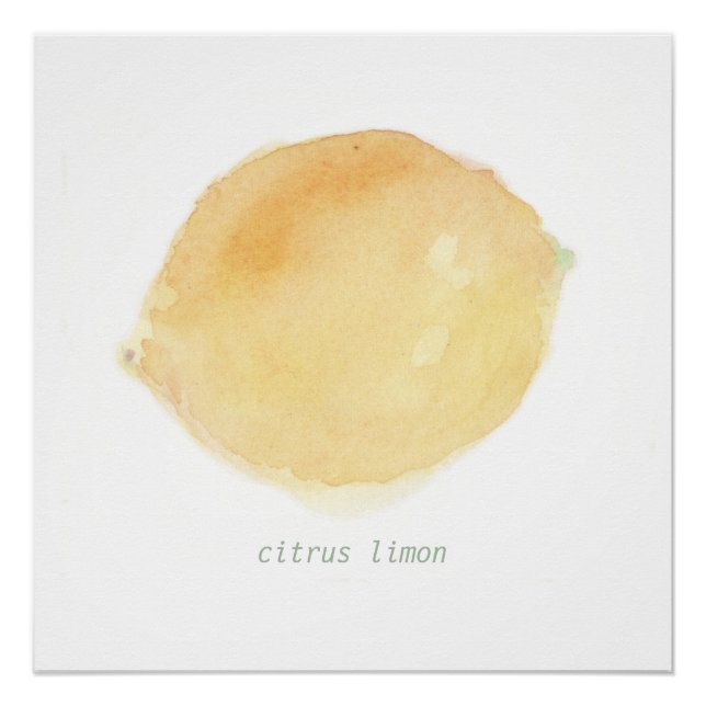 le citron poster (Vorderseite)