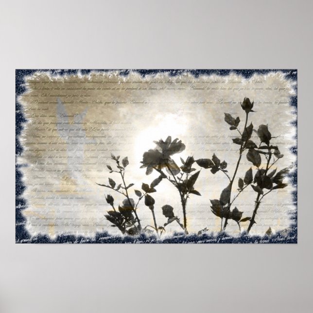 Le Comte de Monte-Cristo Poster (Vorne)