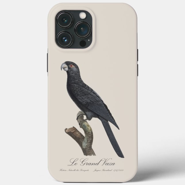 Le Grand Vaza / Greater Vasa Parrot Case-Mate iPhone Hülle (Rückseite)