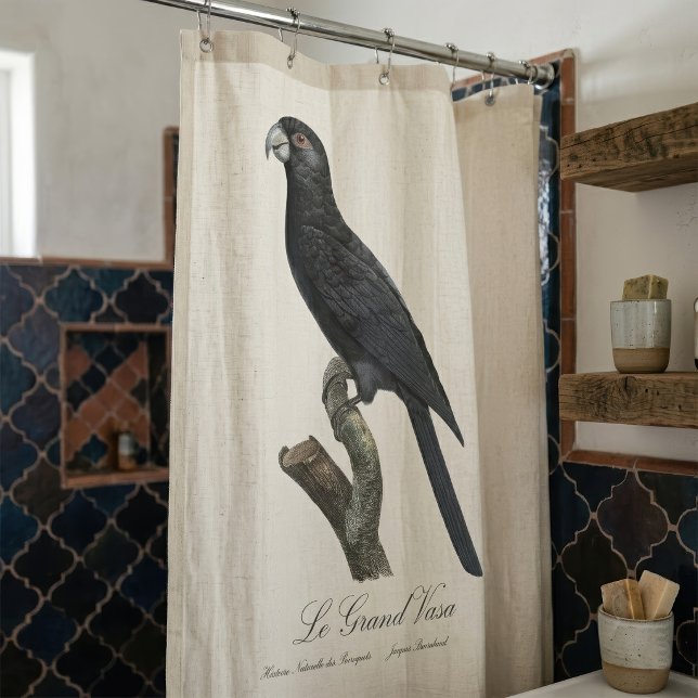 Le Grand Vaza / Greater Vasa Parrot Duschvorhang (Greater Vasa Parrot, Coracopsis Vasa Illustration. Shower Curtain)