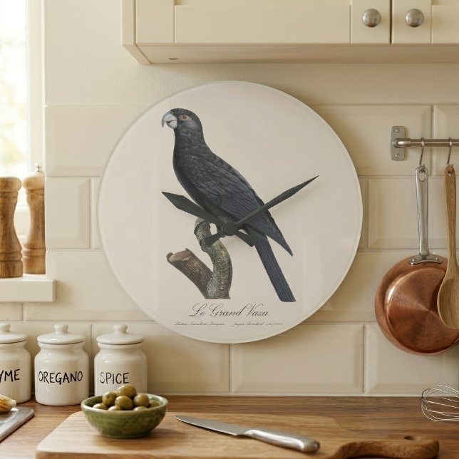 Le Grand Vaza / Greater Vasa Parrot Große Wanduhr (Greater Vasa Parrot, Coracopsis Vasa Illustration. Large Clock)