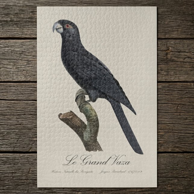 Le Grand Vaza / Greater Vasa Parrot Puzzle (Greater Vasa Parrot, Coracopsis Vasa Illustration. Jigsaw Puzzle)