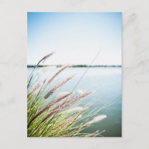 Le long du Saint-Laurent Postkarte